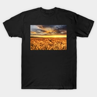 Country Field T-Shirt